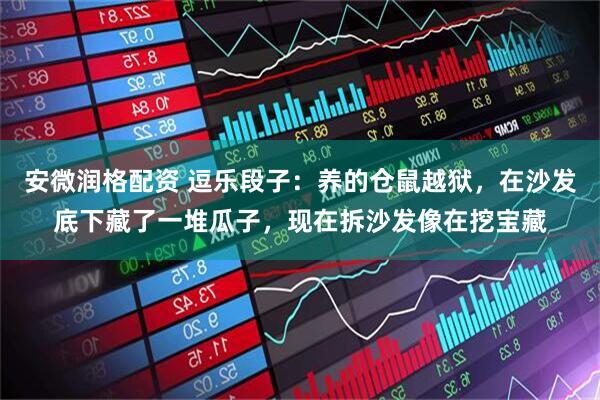 安微润格配资 逗乐段子：养的仓鼠越狱，在沙发底下藏了一堆瓜子，现在拆沙发像在挖宝藏