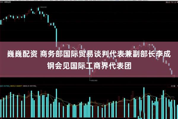 巍巍配资 商务部国际贸易谈判代表兼副部长李成钢会见国际工商界代表团